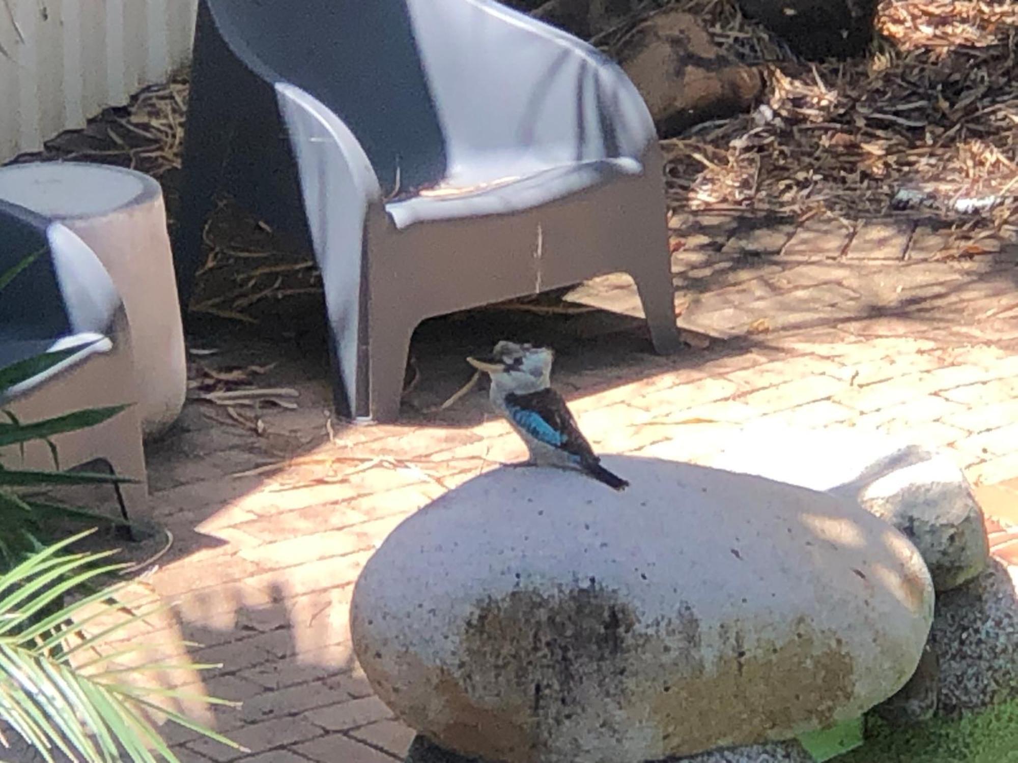 Apartment Kookaburra Oasis